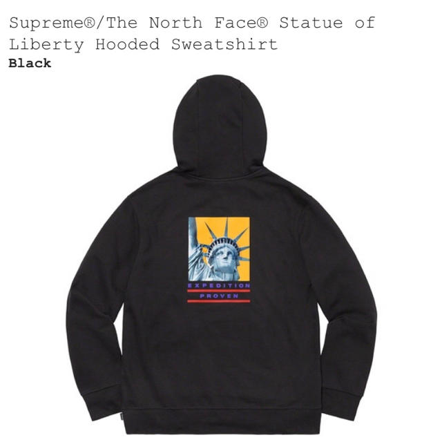 supreme the north face hoodie シュプリーム s