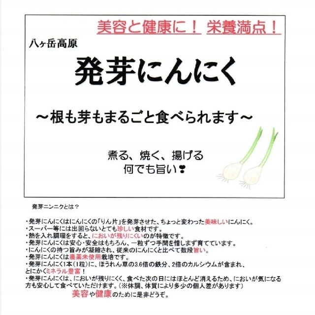 八ヶ岳高原　発芽にんにく　美容　健康　栄養満点　ガン予防　！！　 食品/飲料/酒の食品(野菜)の商品写真