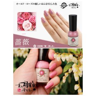 ハウスオブローゼ(HOUSE OF ROSE)の【Naoko様専用】 胡粉ネイル 薔薇 葡萄 2本セット(マニキュア)