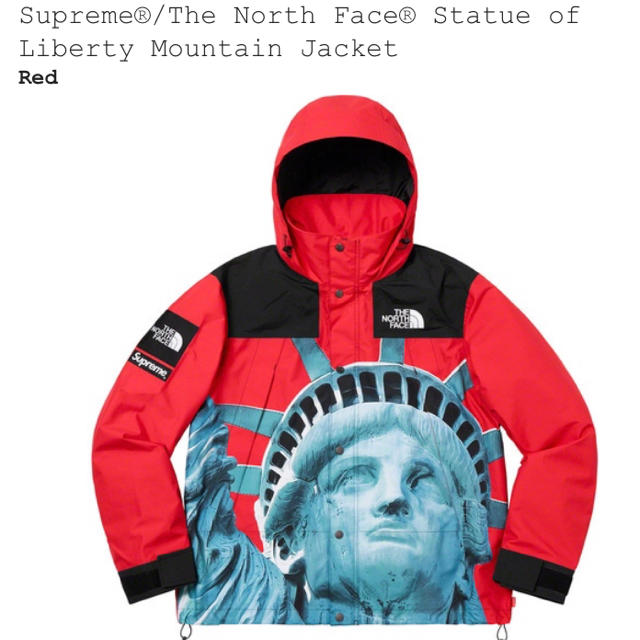 Supreme The North Face Statue of Liberty マウンテンパーカー