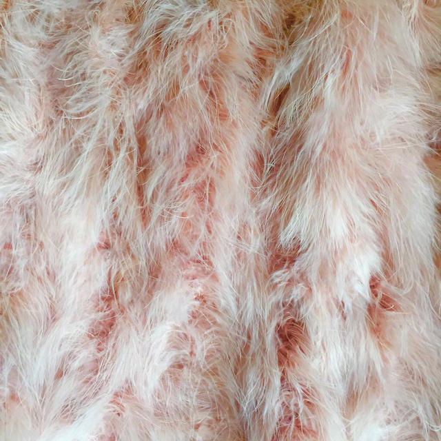 Nina mew(ニーナミュウ)のよゆもし様専用ーフェザースカート レディースのスカート(ミニスカート)の商品写真