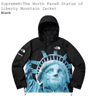 シュプリーム(Supreme)の【Y様専用】Statue of Liberty Mountain Jacket(その他)