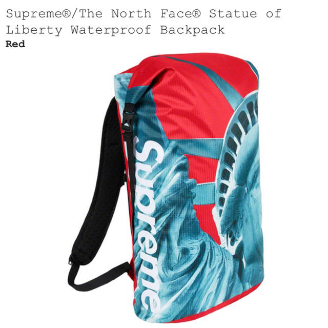 Supreme The North Face バックパック 新品未使用