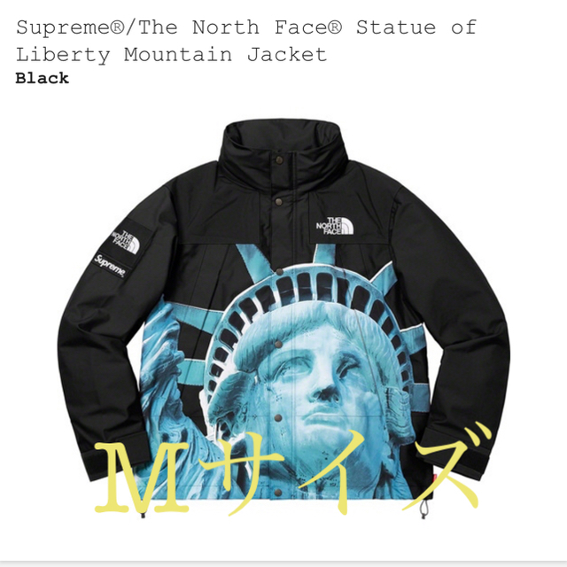 Supreme - M Supreme×The North Face Mountain Jacket