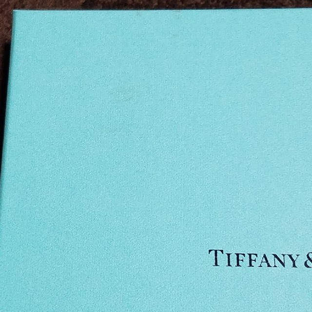 Tiffany & Co.(ティファニー)のTiffany& Co. ペアプレート インテリア/住まい/日用品のキッチン/食器(食器)の商品写真