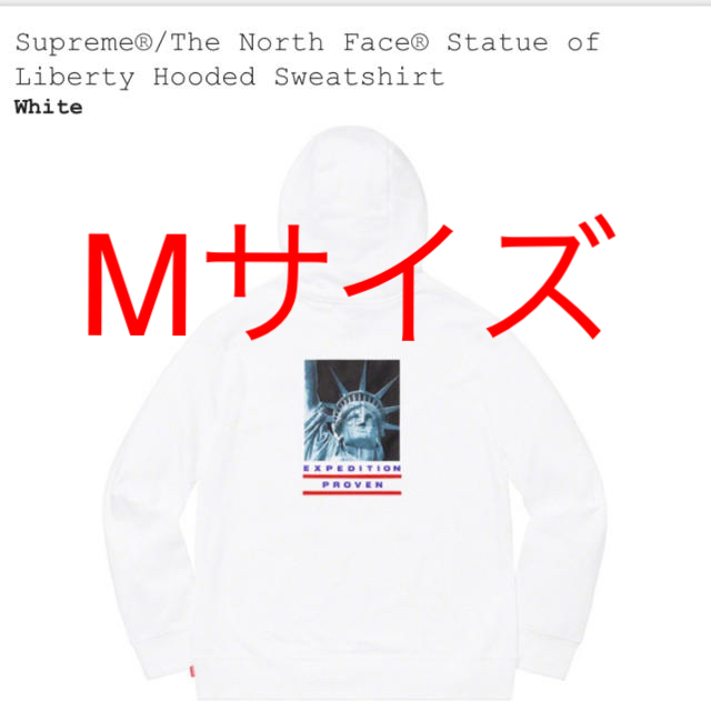 Supreme The North Face Hoodedパーカー