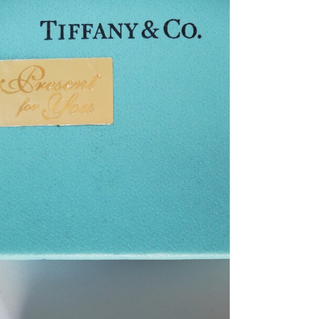 Tiffany & Co.(ティファニー)のTIFFANY&Coケース レディースのファッション小物(名刺入れ/定期入れ)の商品写真