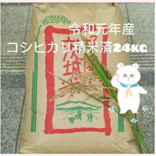 みみずく様専用です😊コシヒカリ精米24kg(米/穀物)