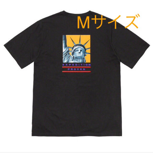 Mサイズ Supreme The North Face Tee