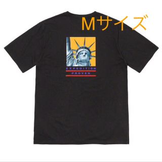 シュプリーム(Supreme)のMサイズ Supreme The North Face Tee(Tシャツ/カットソー(半袖/袖なし))