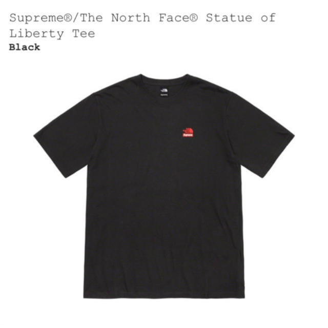 Lサイズ　新品　Supreme The North Face Tシャツ サイズL