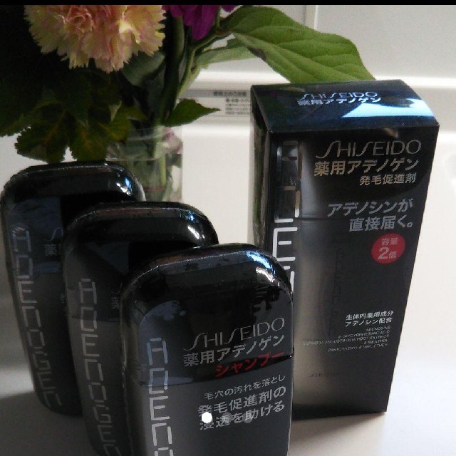 SHISEIDO (資生堂)(シセイドウ)のアデノゲンセット メンズのメンズ その他(その他)の商品写真