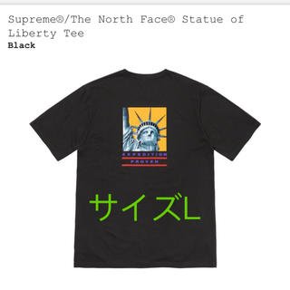 シュプリーム(Supreme)のsupreme north face(Tシャツ/カットソー(半袖/袖なし))