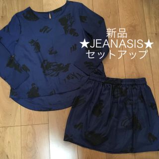 ジーナシス(JEANASIS)の新品★JEANASIS★ジーナシス セットアップ スカート 青/黒 秋(セット/コーデ)