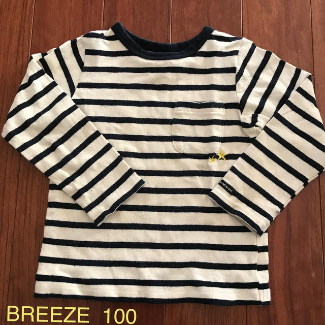 BREEZE(ブリーズ)のBREEZE  長そでＴシャツ　100 キッズ/ベビー/マタニティのキッズ服女の子用(90cm~)(Tシャツ/カットソー)の商品写真