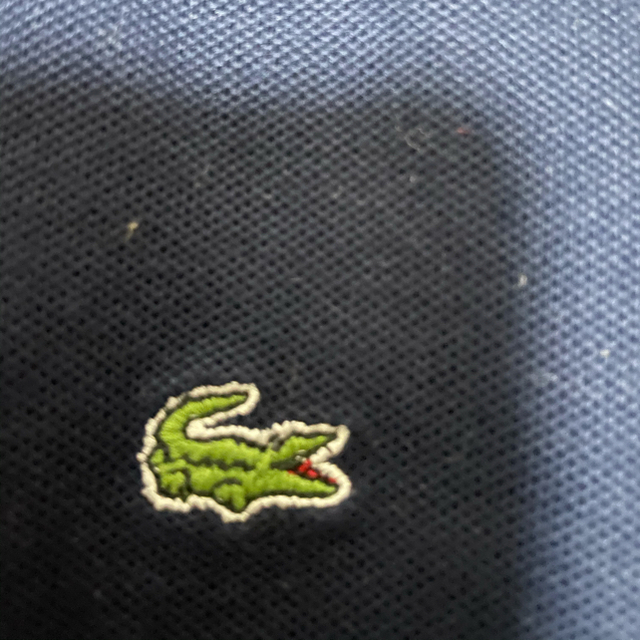 LACOSTE(ラコステ)のLACOSTE 長袖ポロシャツ キッズ/ベビー/マタニティのキッズ服女の子用(90cm~)(Tシャツ/カットソー)の商品写真