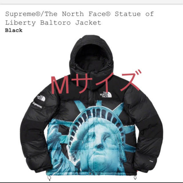 Supreme The North Face Baltoro Jacket M