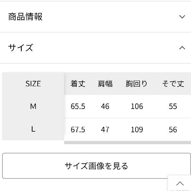 LEPSIM(レプシィム)のLEPSIM のマウンテンパーカー レディースのジャケット/アウター(ブルゾン)の商品写真