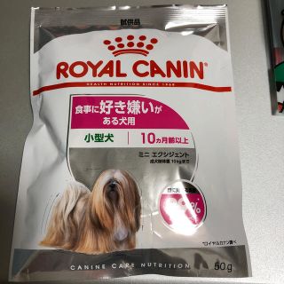 ロイヤルカナン(ROYAL CANIN)のロイヤルカナン《小型犬用》《10ヶ月齢以上》《食事に好き嫌いがある犬用》(ペットフード)