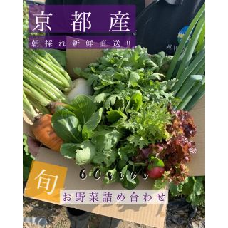 旬のお野菜６品プラスおまけ付き！！京都より直送でお届け！！(野菜)