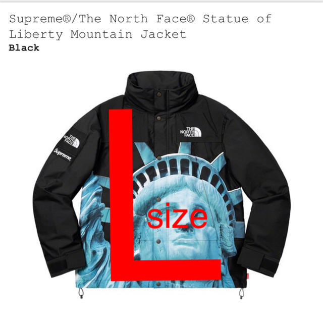 supreme The North Face Mountain Jacket