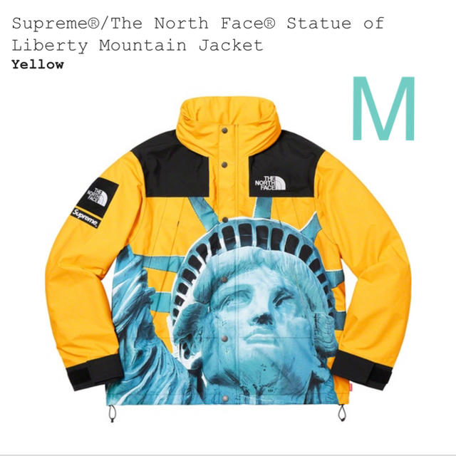 Supreme - Supreme / The North Face Mountain Jacket