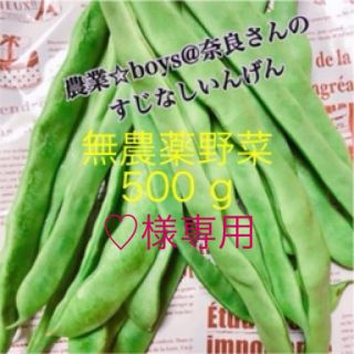 すじなしいんげん(野菜)