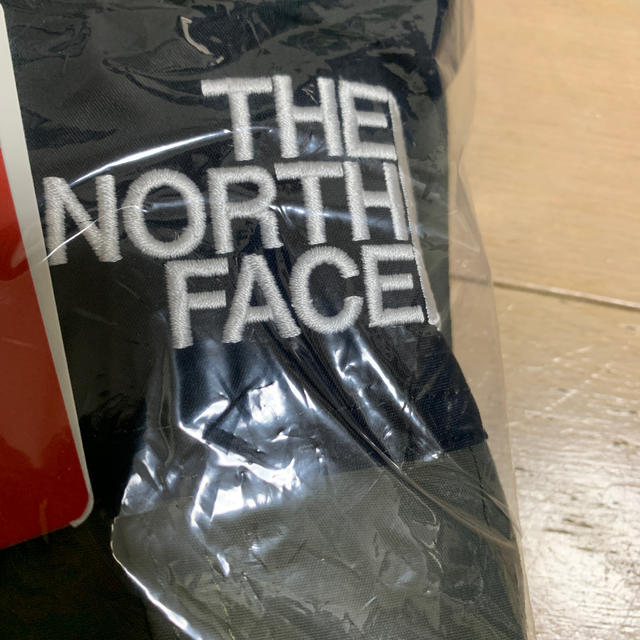 THE NORTH FACE マウンテンライトジャケット ニュートープ 2