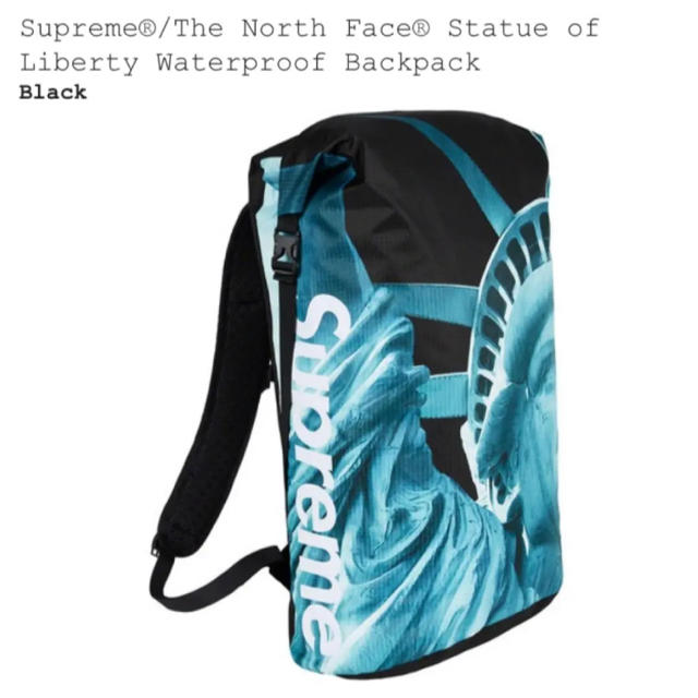 Supeme / TNF Statue of Liberty Backpackザノースフェイス