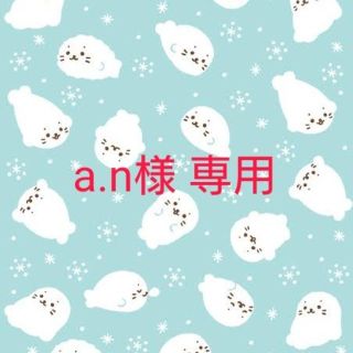 a.n様専用(その他)