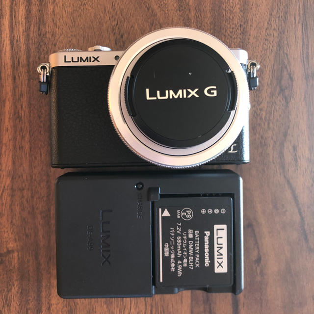 LUMIX DMC-GM1