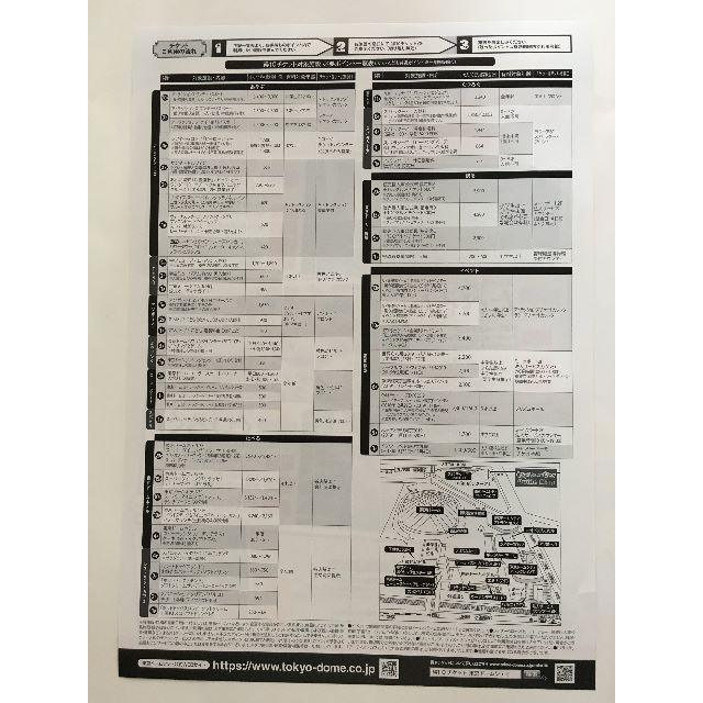 東京ドームシティ得10チケット 　　　　　　２冊セット　3月３1日迄