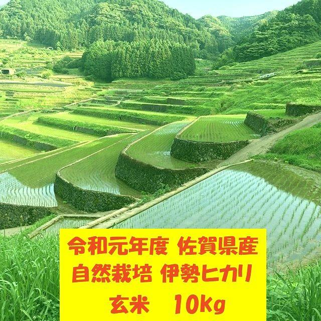 無農薬!自然栽培!農家直送!令和元年度佐賀県産!「伊勢ヒカリ」玄米２０ｋｇ　米/穀物