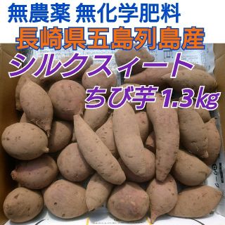 無農薬栽培❗《シルクスィート1.3㎏【ちび芋】》長崎県五島列島より(野菜)