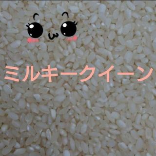 11日発送　令和元年産ミルキークイーン小粒米10kg(米/穀物)