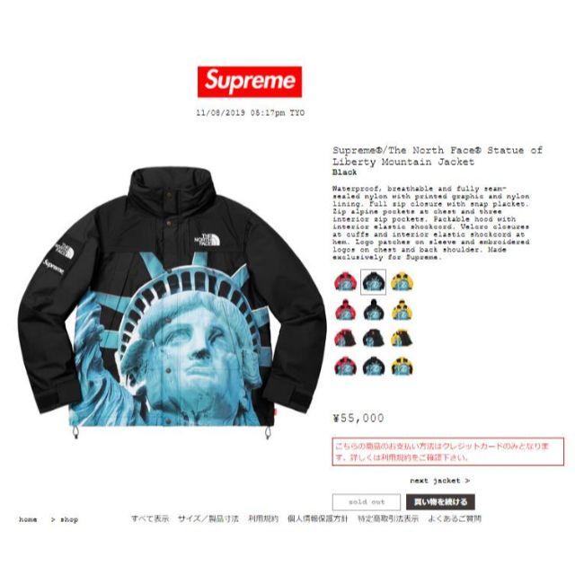 高質 Supreme - Supreme North Face Statue of Liberty L マウンテン
