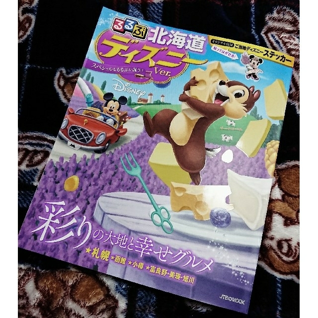 Disney 珍しいディズニー版 るるぶ北海道ディズニーver 17の通販 By 夢光り S Shop ディズニーならラクマ