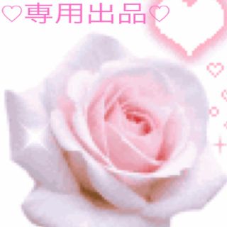 売り切りセールきゃん様★専用(その他)