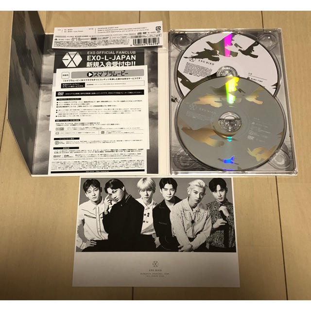 EXO(エクソ)のEXO BIRD ＣＤ＋ＤＶＤ EXO-L-JAPAN 特典ポストカード付 エンタメ/ホビーのCD(K-POP/アジア)の商品写真