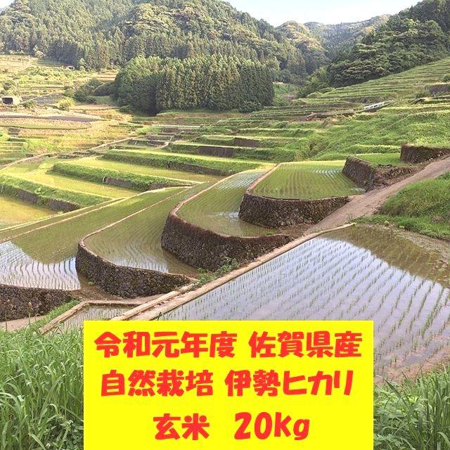 無農薬!自然栽培!農家直送!令和元年度佐賀県産!「伊勢ヒカリ」玄米 無農薬!自然栽培!農家直送!令和元年度佐賀県産!「伊勢ヒカリ」玄米