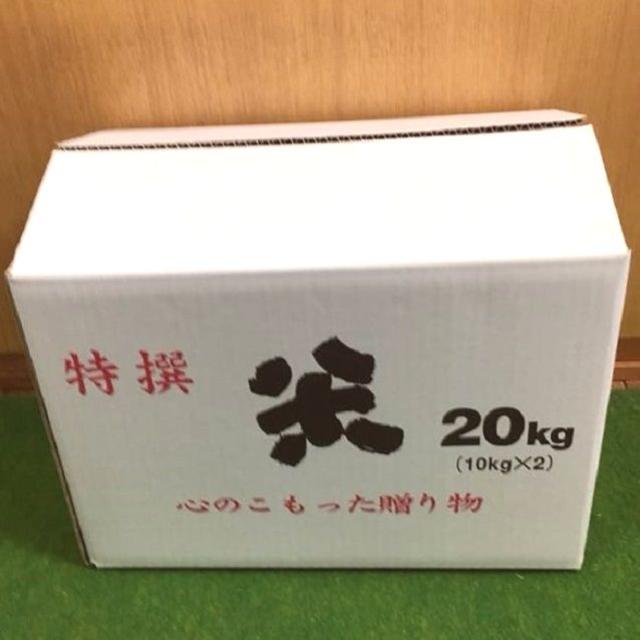 無農薬!自然栽培!農家直送!令和元年度佐賀県産!「伊勢ヒカリ」玄米２０ｋｇ 食品/飲料/酒の食品(米/穀物)の商品写真