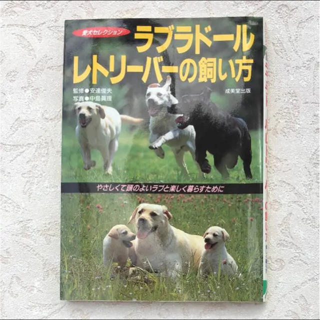 ラブラドール・レトリーバーの飼い方 : やさしくて頭のよいラブと楽しく暮らすた… その他のペット用品(犬)の商品写真