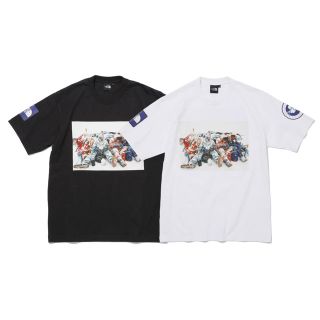 ザノースフェイス(THE NORTH FACE)のS/S Trans Antarctica Tee(Tシャツ/カットソー(半袖/袖なし))