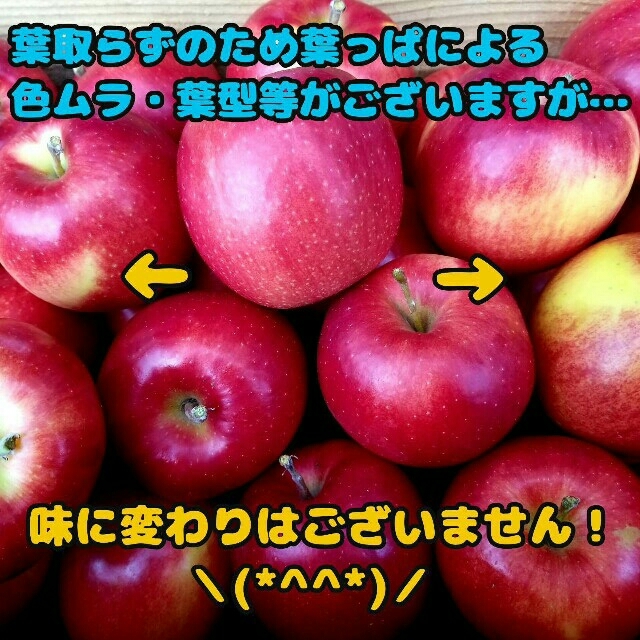 りんご　果物　No. 1ジョナ 食品/飲料/酒の食品(フルーツ)の商品写真