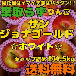 りんご　果物　No. 1ジョナ(フルーツ)