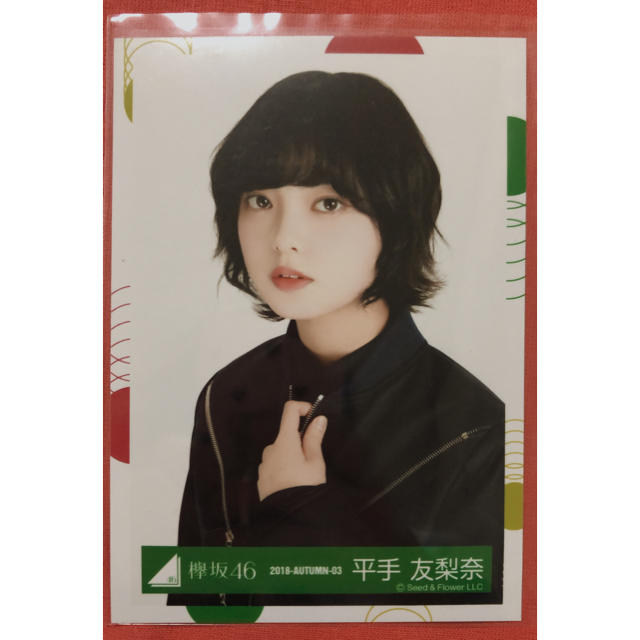 欅坂46(けやき坂46)(ケヤキザカフォーティーシックス)の欅坂46 平手友梨奈　生写真 チケットの音楽(女性アイドル)の商品写真