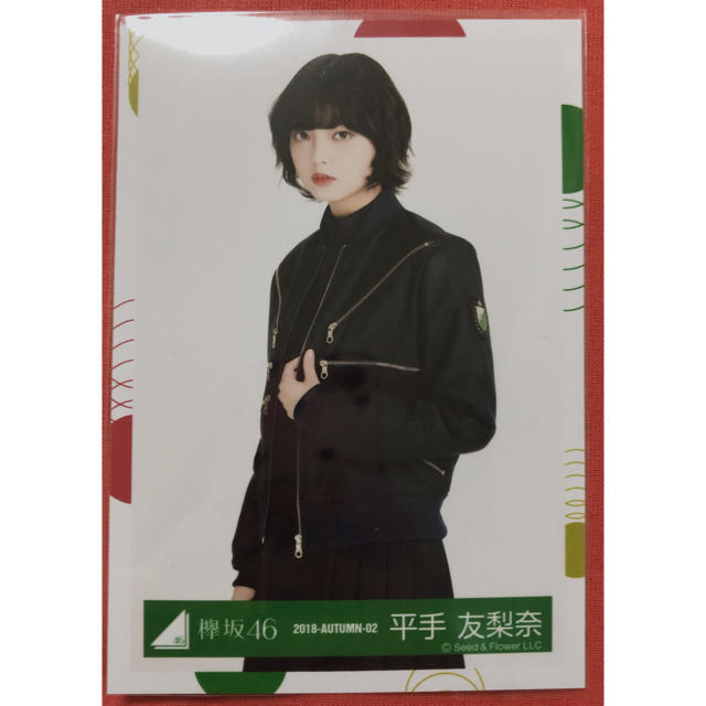 欅坂46(けやき坂46)(ケヤキザカフォーティーシックス)の欅坂46 平手友梨奈　生写真 チケットの音楽(女性アイドル)の商品写真