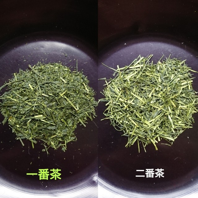 静岡茶  「飲み比べ セット」 食品/飲料/酒の飲料(茶)の商品写真