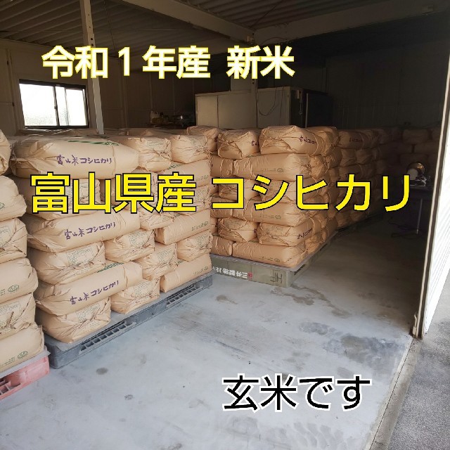 食品/飲料/酒令和元年産 富山県産コシヒカリ
