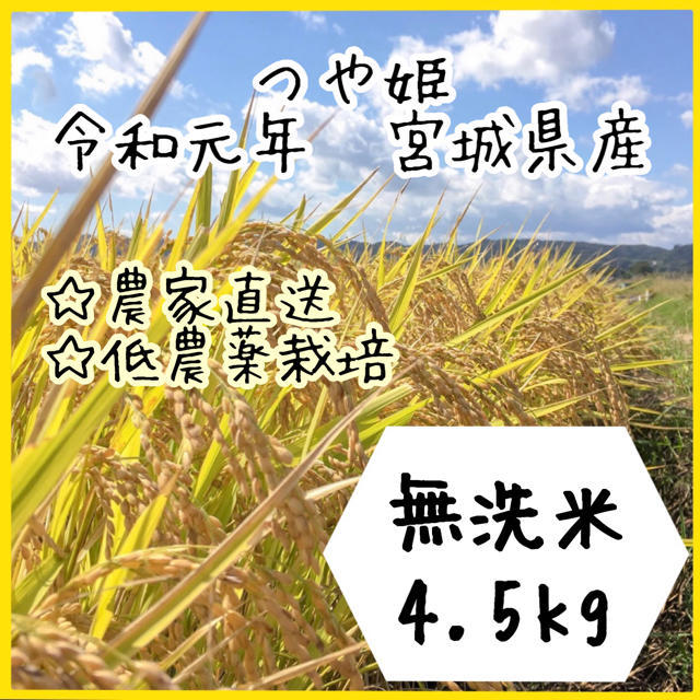 即購入OK♪【農家直送】新米 宮城県産つや姫　無洗米4.5kg【送料無料】 食品/飲料/酒の食品(米/穀物)の商品写真